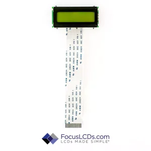 C162LDBSYLY6WT55PAA1